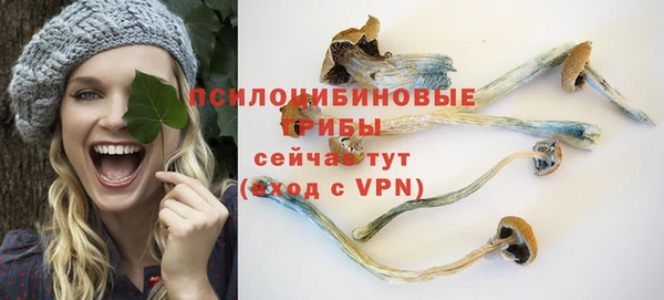 ешки Кадников