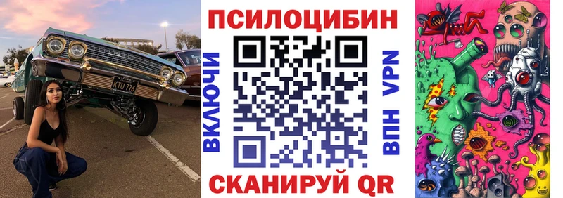 Псилоцибиновые грибы Magic Shrooms  Катайск 